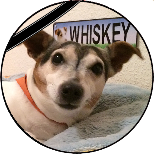Whiskey-trauer.png