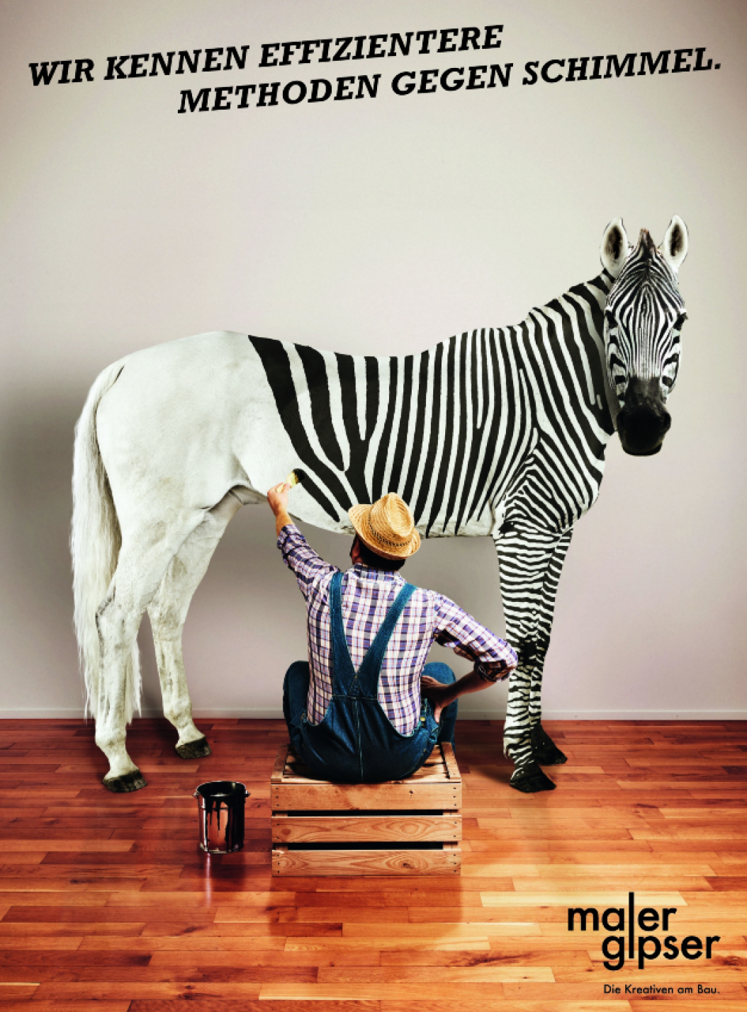 schimmel-zebra.png