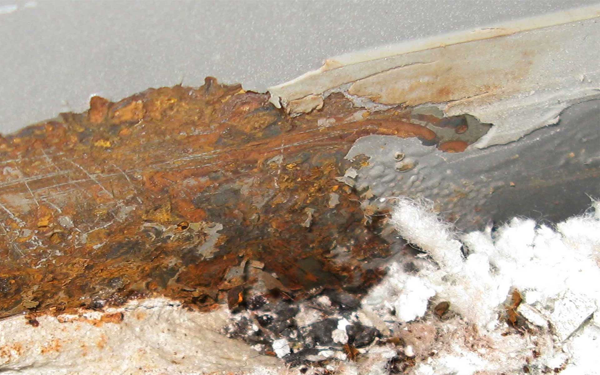 Gutachten 1
