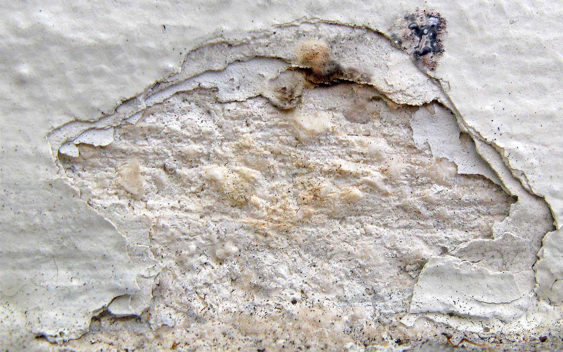 Gutachten 6